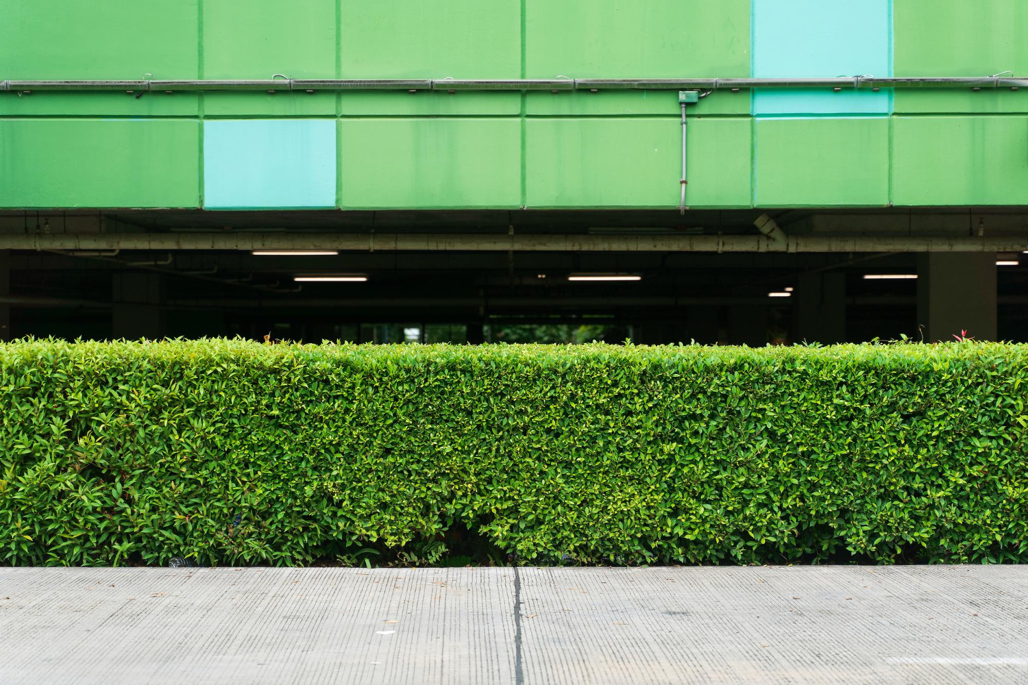 Green wall