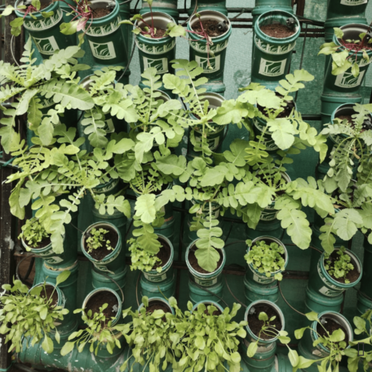 Urban Harvest Balcony Garden Kit innevotek