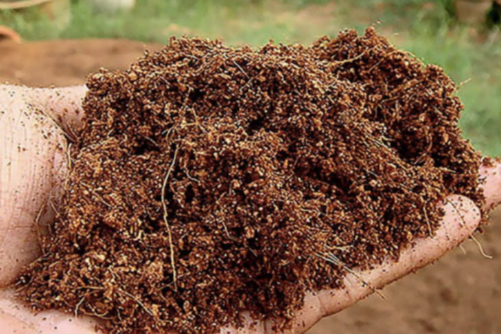 Enriched Coco Peat