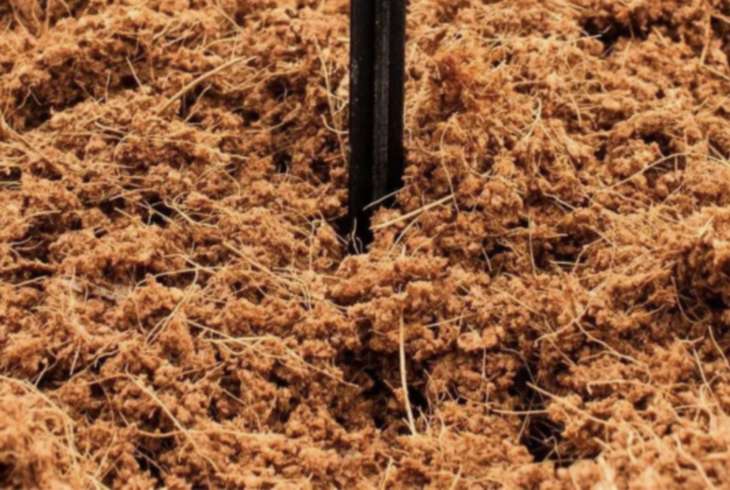 Enriched Coco Peat - Image 2