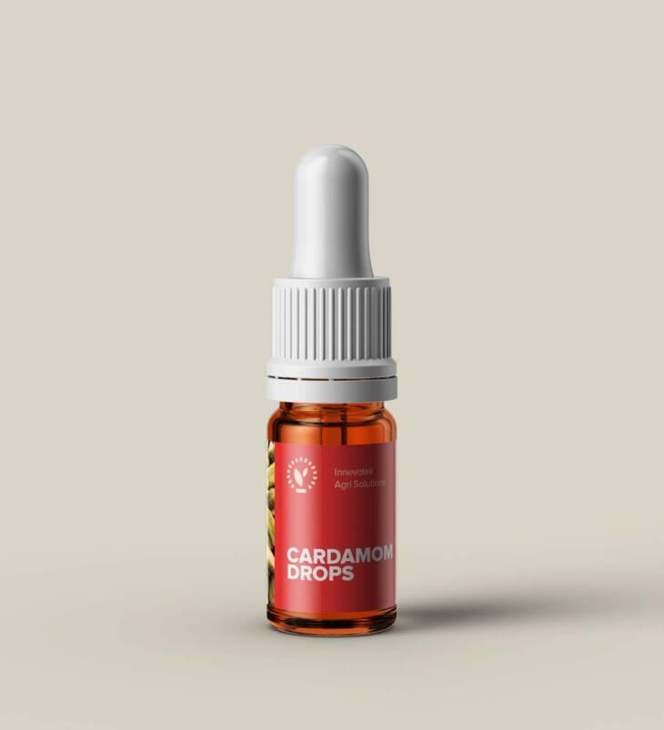 Cardamom Drops | Pure & Natural Ginger Extract | No Additives | No Preservatives | Vegan | 5mL (180 Drops)