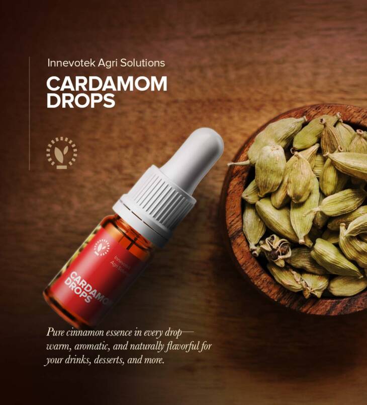 Cardamom Drops | Pure & Natural Ginger Extract | No Additives | No Preservatives | Vegan | 5mL (180 Drops) - Image 3