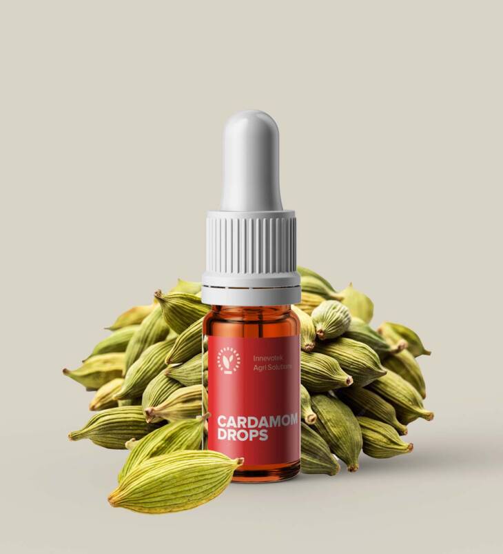 Cardamom Drops | Pure & Natural Ginger Extract | No Additives | No Preservatives | Vegan | 5mL (180 Drops) - Image 2