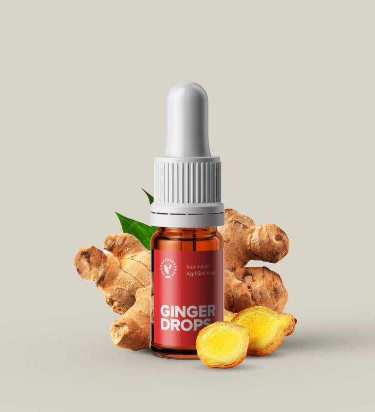 Ginger Drops | Ginger Extract | Adarak Extract | Natural Liquid Extract | No Additives | No Preservatives | Vegan | 5mL (180 drops) - Image 4