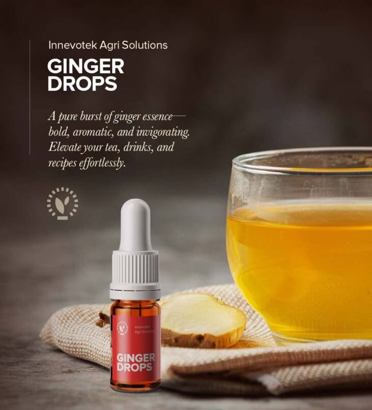 Ginger Drops | Ginger Extract | Adarak Extract | Natural Liquid Extract | No Additives | No Preservatives | Vegan | 5mL (180 drops) - Image 2