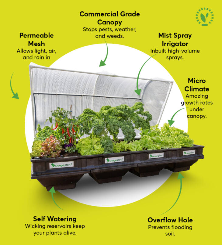 Large Raised Garden Bed with Garden Cover - Image 5