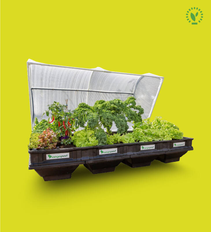 Large Raised Garden Bed with Garden Cover