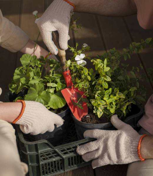 high-angle-people-gardening-together